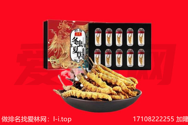 嘉鱼县回收虫草.jpg